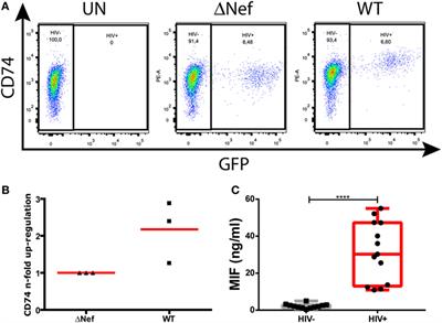 Interaction Between Macrophage Migration Inhibitory Factor and CD74 in Human Immunodeficiency Virus Type I Infected Primary Monocyte-Derived Macrophages Triggers the Production of Proinflammatory Mediators and Enhances Infection of Unactivated CD4+ T Cells